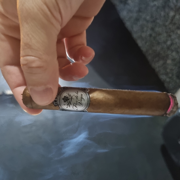 Foto enviada na avaliação de Flor De La Vega Silver Robusto