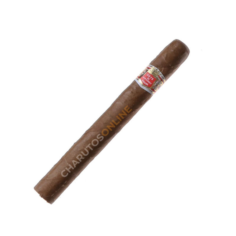 Hoyo de Monterrey Palmas Extras