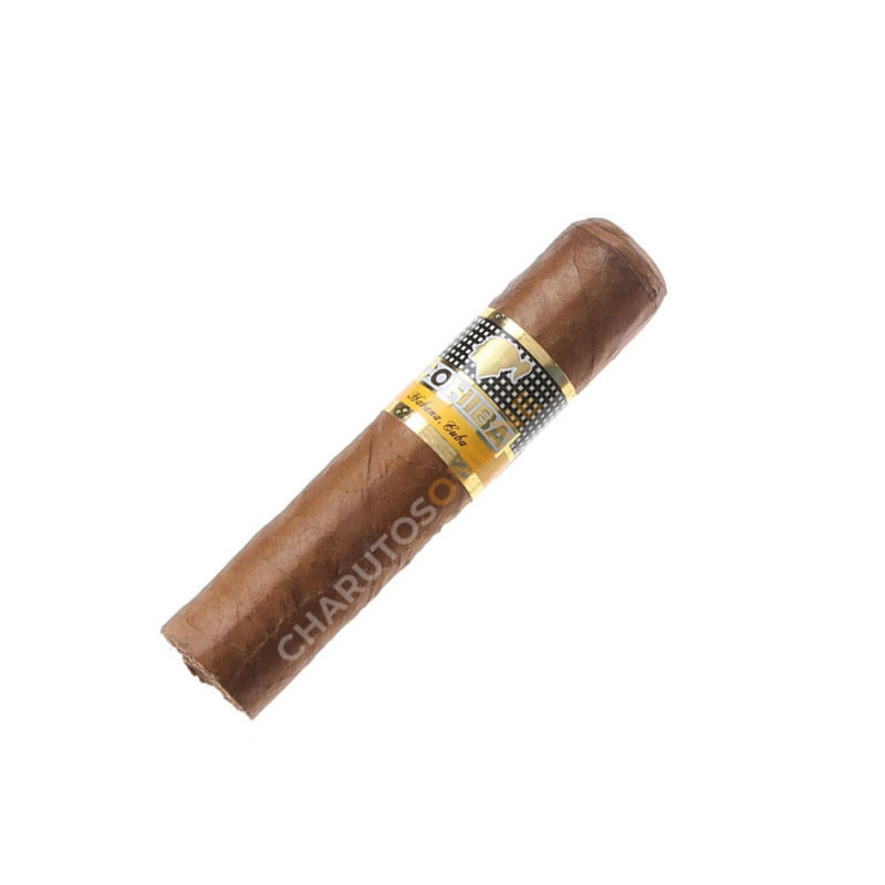 Cohiba Medio Siglo