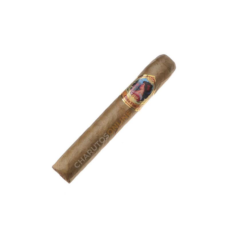 Dona Flor Robusto Claro