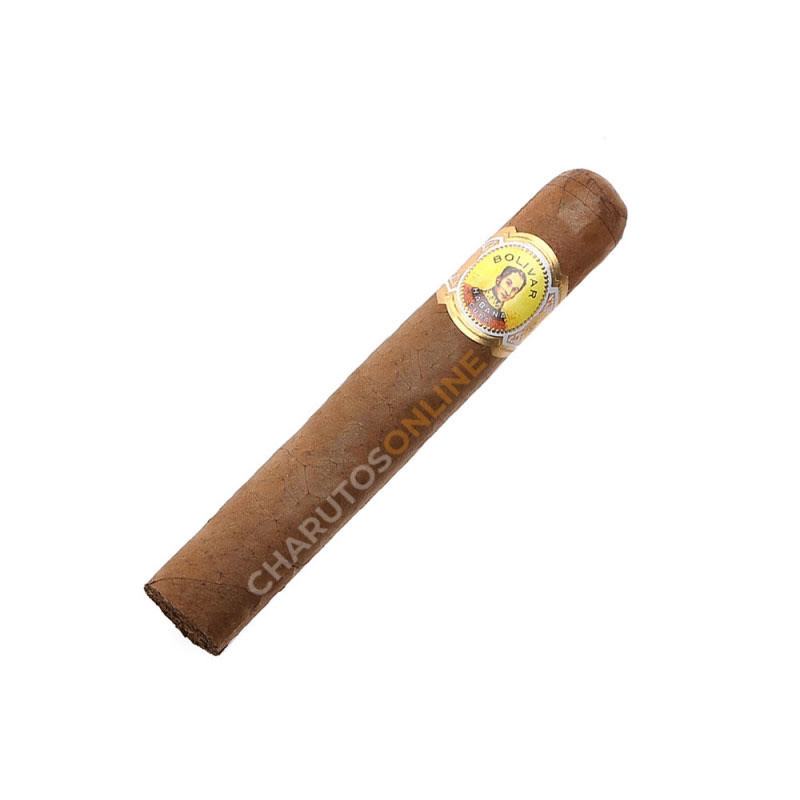 Bolivar Royal Corona