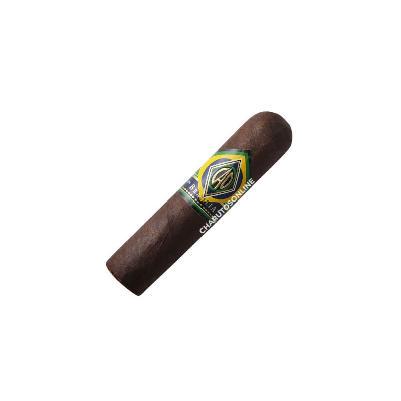 CAO Brazilia Corcovado