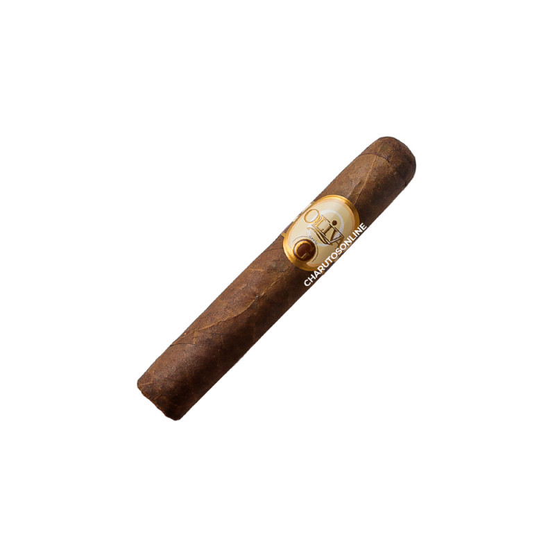 Oliva Serie G Double Robusto