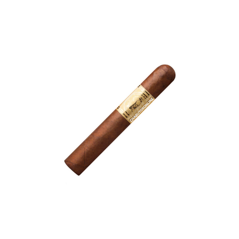 Bucanero's Robusto