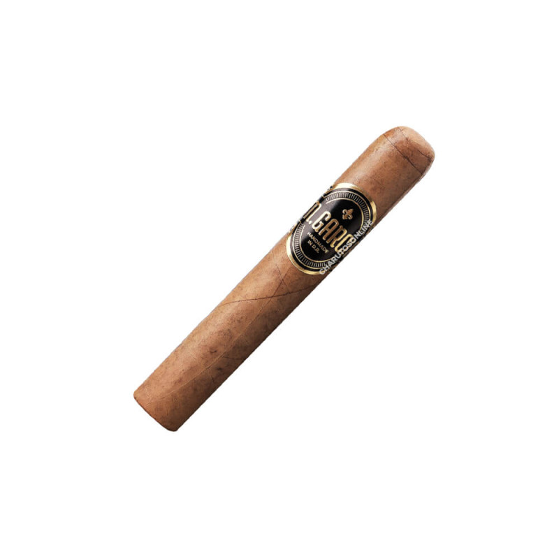 M. Garcia Robusto