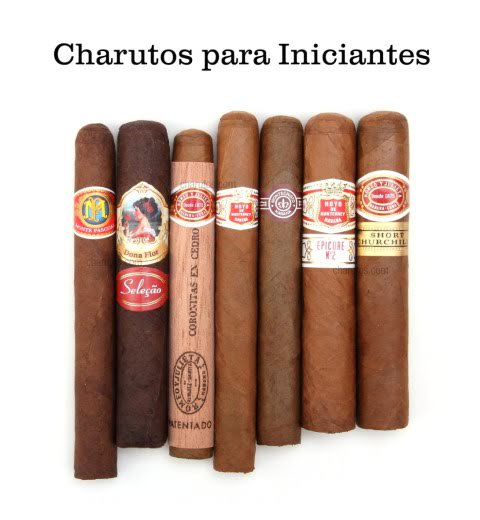 charutos para iniciantes