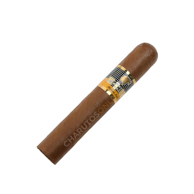 Cohiba Robusto