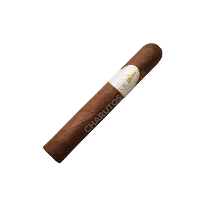 Davidoff Winston Churchill Robusto