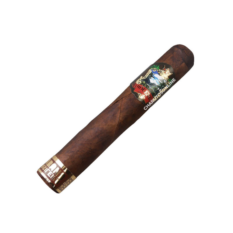 Diogenes Puente Robusto HB