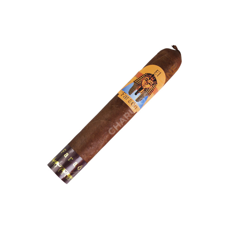 El Faraón Robusto