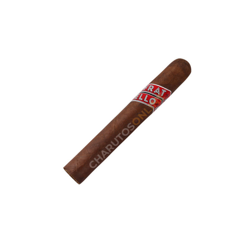 Fratello Classico Robusto