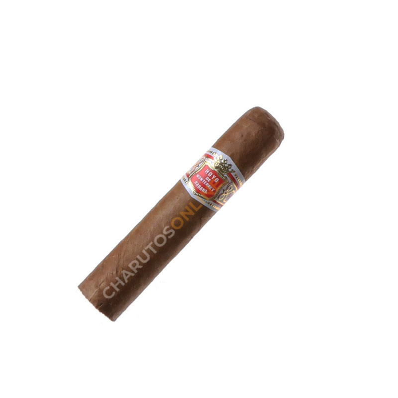 Hoyo de Monterrey Petit Robusto