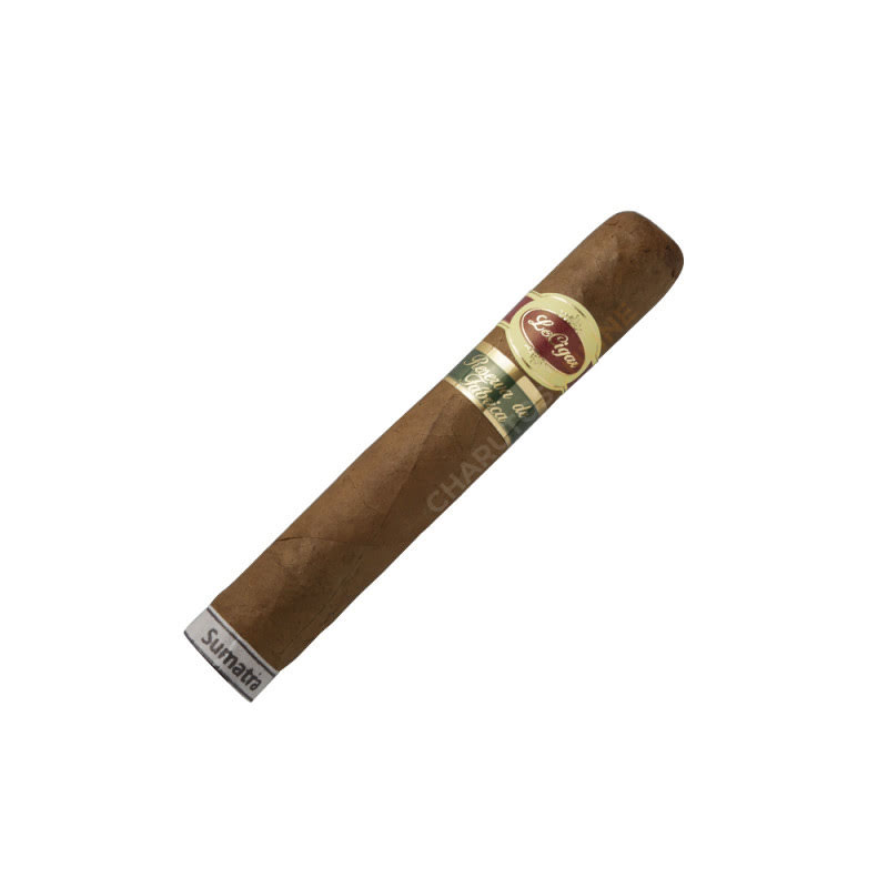 Le Cigar Robusto Sumatra