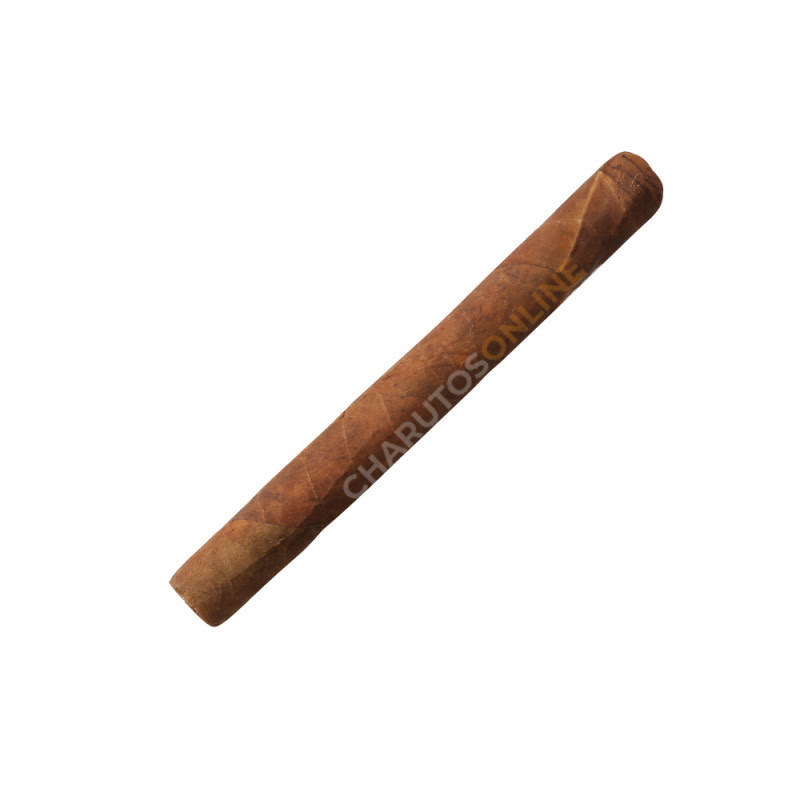 Monte Pascoal Short Corona