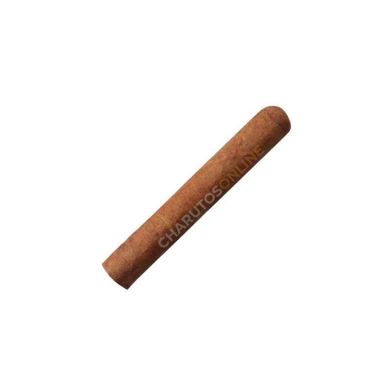 Monte Pascoal Short Robusto