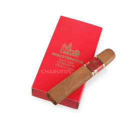 Perceverancia Petit Robusto Quadrado